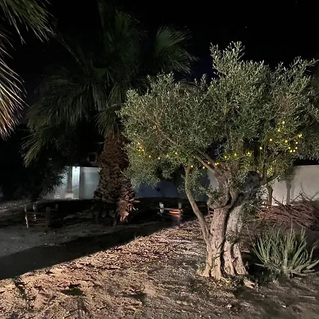 Dolores, Un Chalet Con Piscina Y Barbacoa En La Huerta Del Segura. *